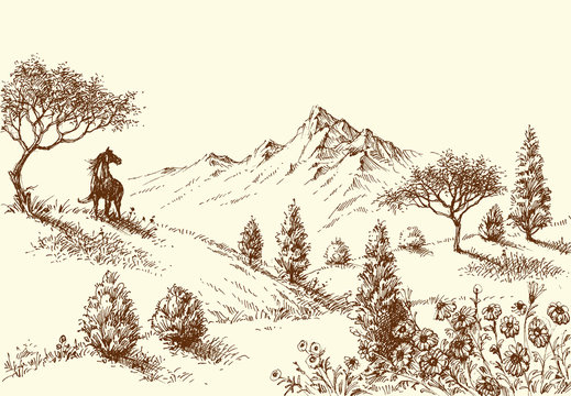 Landscape, wilderness and horse drawing