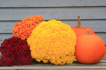 Thanksgiving, Fall, Autumn symbols