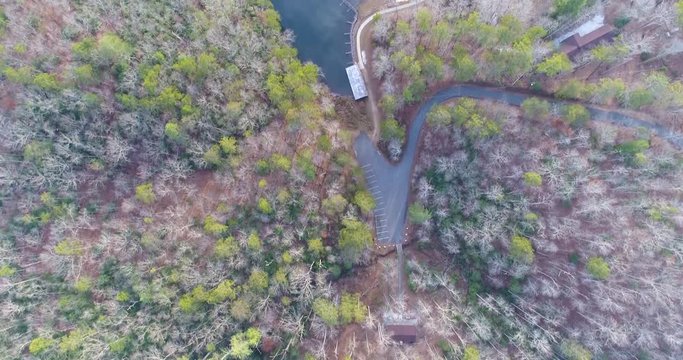 Aerial drone footage over a forest