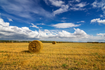 стога сена в сельском поле осенью, Россия, Урал, сентябрь © 7ynp100