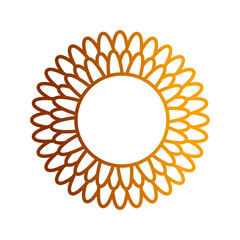 flat line colored flower over white background  vector illustration