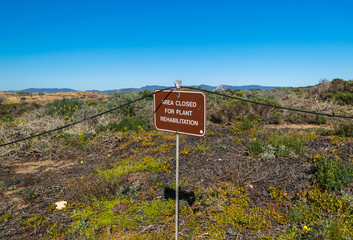 Elfin Forest in Los Osos, Morro Bay State Marine Reserve, Morro Bay, San Luis Obispo County Parks, California, USA