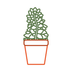 flat  line  colored flowerpot over white background  vector illustration