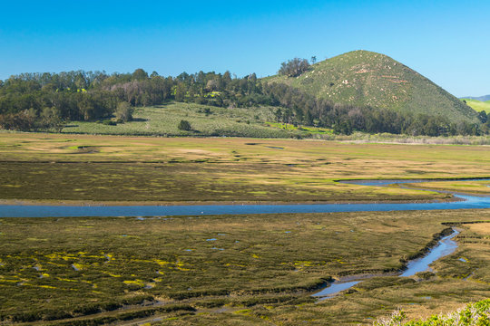 Elfin Forest in Los Osos, Morro Bay State Marine Reserve, Morro Bay, San Luis Obispo County Parks, California, USA