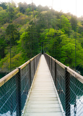 Fototapeta na wymiar On a suspended bridge in a quiet mountain