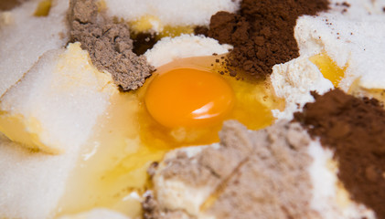 close up on gingerbread ingredients, top view