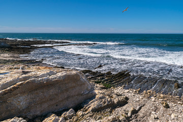 Exploring the Pacific shoreline at Spooner's Cove, Bluff Trail, Montana de Oro State Park, Morro Bay, San Luis Obispo County, California, USA