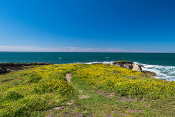 Exploring the Pacific shoreline at Spooner's Cove, Bluff Trail, Montana de Oro State Park, Morro Bay, San Luis Obispo County, California, USA