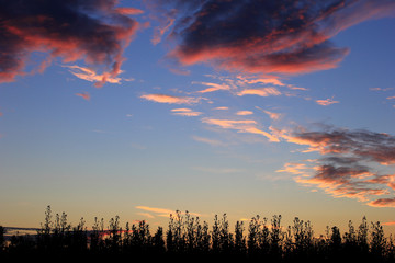 Set sunset background. Sky, clouds in field. Nature.
