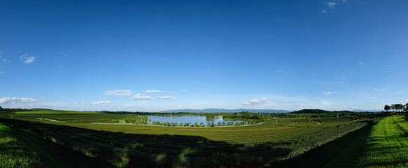 Panoramic view of blue sky background over tea plantation in chiang rai, thailand