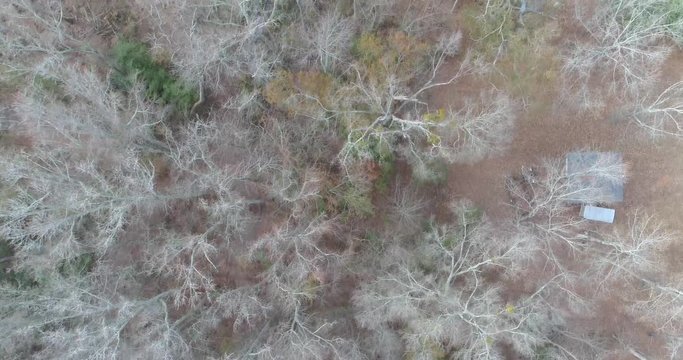 Aerial Drone footage over a forest in the mountains