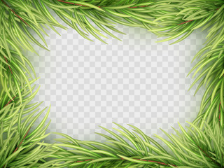 Fototapeta na wymiar Christmas tree fir branch frame. EPS 10 vector