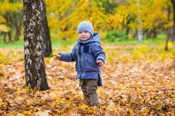 1 years old baby walks in the park on fallen colorful leaves in autumn day