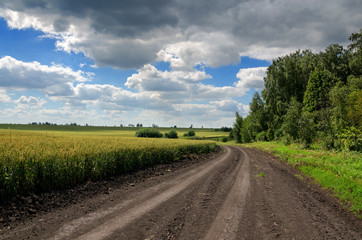 Fototapeta na wymiar Sunny summer landscape with dirt rural road.Traveling through the countryside.Tula region,Russia 