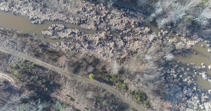 Aerial drone footage over a forest swamp