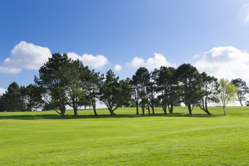 General view of a green golf course on a bright sunny day. Idyllic summer landscape. Sport, relax, recreation and leisure concept