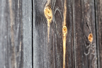 Tree plank, vintage background.