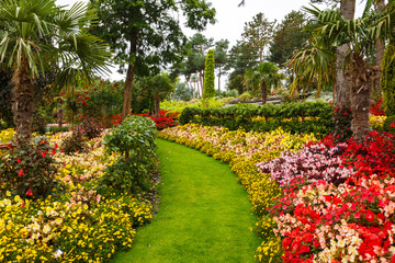 Obraz premium Tropical garden, Norway