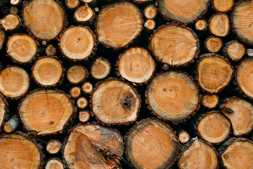 firewood texture