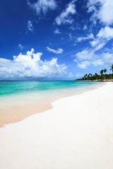 Fototapeta na wymiar paradise tropical beach palm the Caribbean Sea
