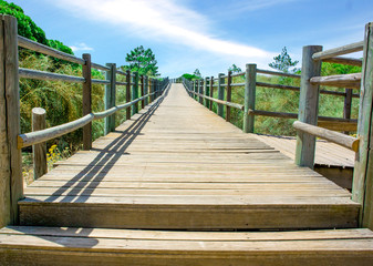 Fototapeta premium Wooden bridge - Strandübergang 