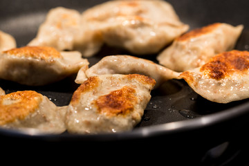 Traditional delicious Polish dumplings fried in a pan. Photography with shallow depth of field.