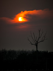 scare twilight sunset