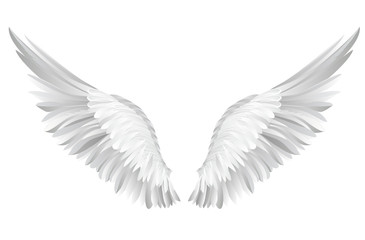 Plakat Wings. Vector illustration on white background. Black and white 