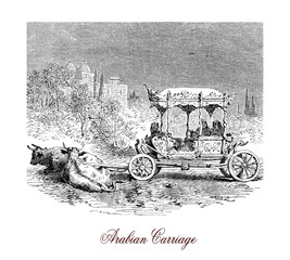 Vintage engraving of Arabian carriage trained by oxen, coach used for high ceremonial events