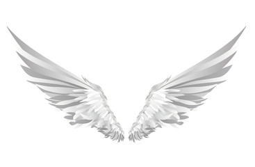 Wings. Vector illustration on white background. Black and white 