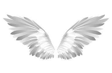 Wings. Vector illustration on white background. Black and white 