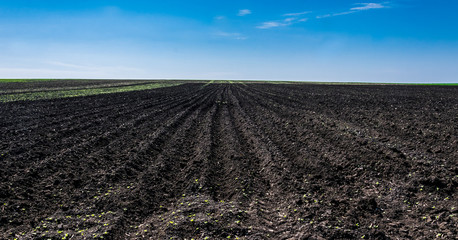 Plowed agricultural field. Preparation for spring agricultural work