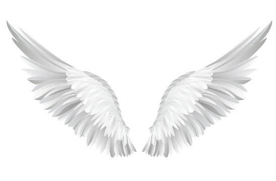 8,989 BEST Angel Wing Sketch IMAGES, STOCK PHOTOS & VECTORS | Adobe Stock