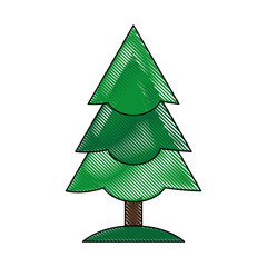 christmas tree icon over white background vector illustration