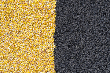 Sunflower Seeds and Corn Seeds