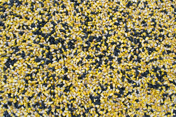 Sunflower Seeds and Corn Seeds mix