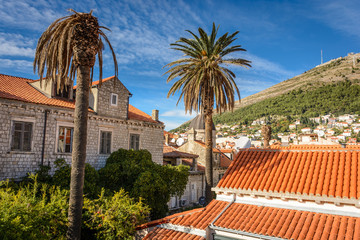 Dubrovnik old city