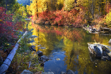 Fall Colors Rocks Wenatchee River Stevens Pass Leavenworth Washi