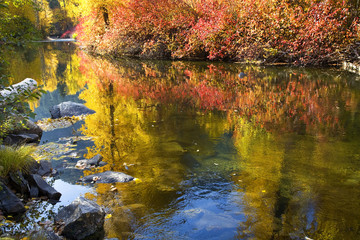 Fall Colors Wenatchee River Stevens Pass Leavenworth Washington