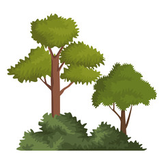 Trees and bushes icon vector illustration graphic design