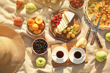 Delicious food for picnic on blanket outdoors © Africa Studio