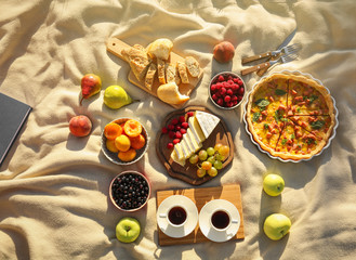 Delicious food for picnic on blanket outdoors