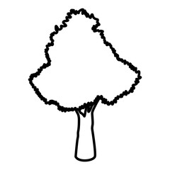 Tree nature symbol icon vector illustration graphic design