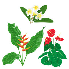 Tropic Flowers Set