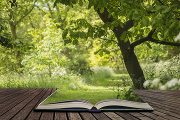 Lovely shallow depth of field fresh landscape of English forest and countryside in Spring sunshine concept coming out of pages in open book