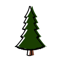 Fototapeta premium Tree nature symbol icon vector illustration graphic design