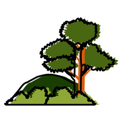 Trees and bushes icon vector illustration graphic design