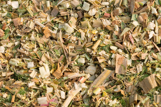 Maize chaff - 7316