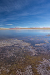 Obraz premium Desert and mountain over blue sky and white clouds on Altiplano,Bolivia
