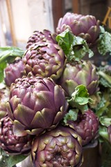 Artichoke 